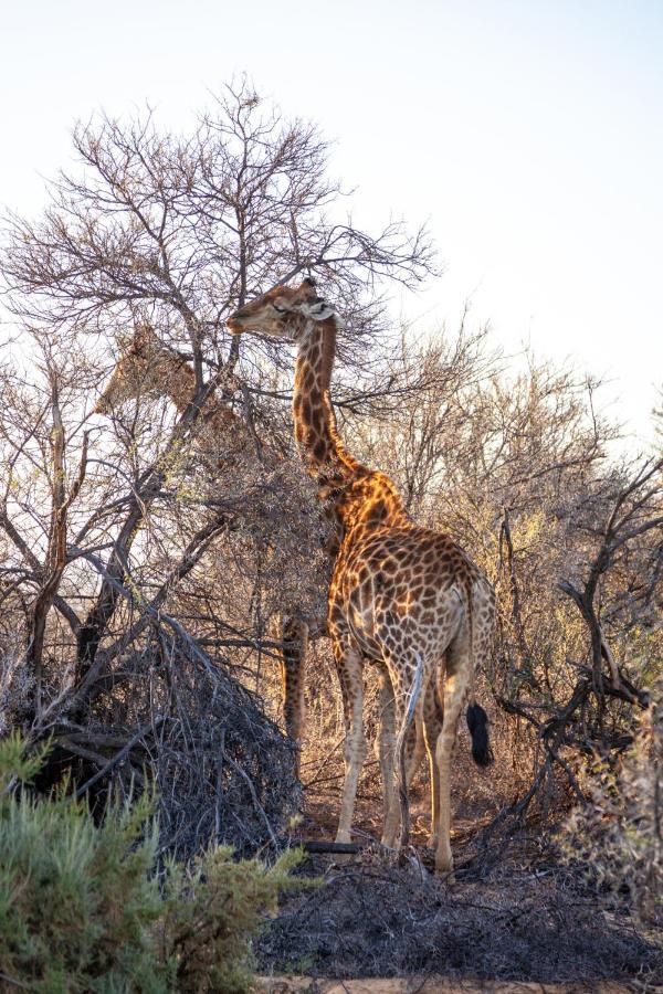 Inverdoorn Game Reserve Lodge Breede River Exterior photo