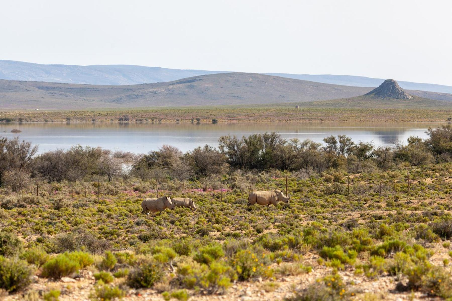 Inverdoorn Game Reserve Lodge Breede River Exterior photo